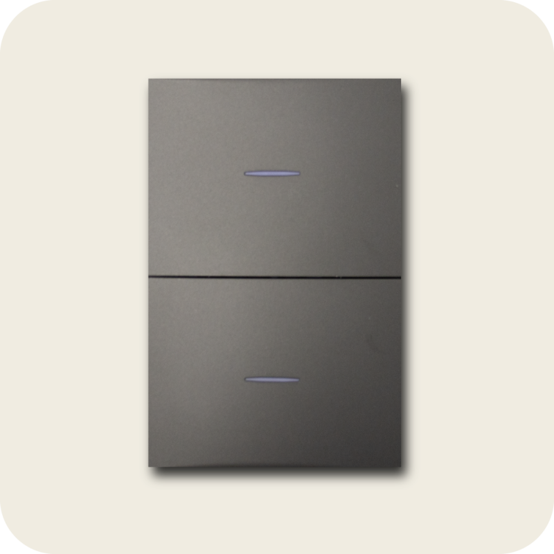 Interruptor doble flat grafito