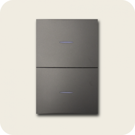 Interruptor doble flat grafito