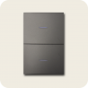 Interruptor doble flat grafito