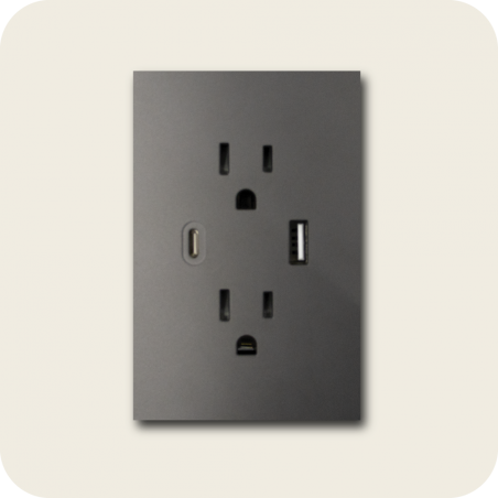 Tomacorriente doble con USB flat grafito