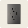 Tomacorriente doble con USB flat grafito