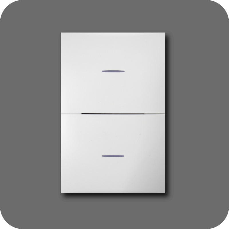 Interruptor doble flat blanca