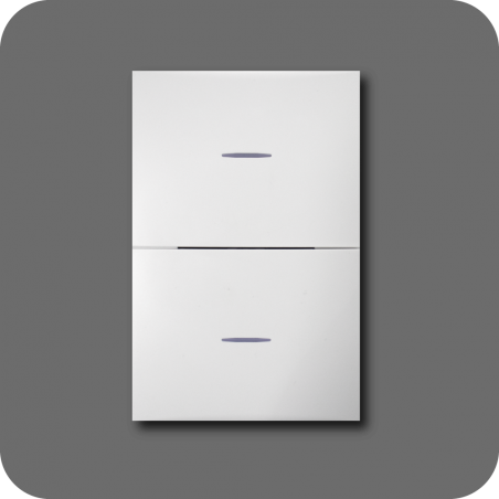 Interruptor doble flat blanca
