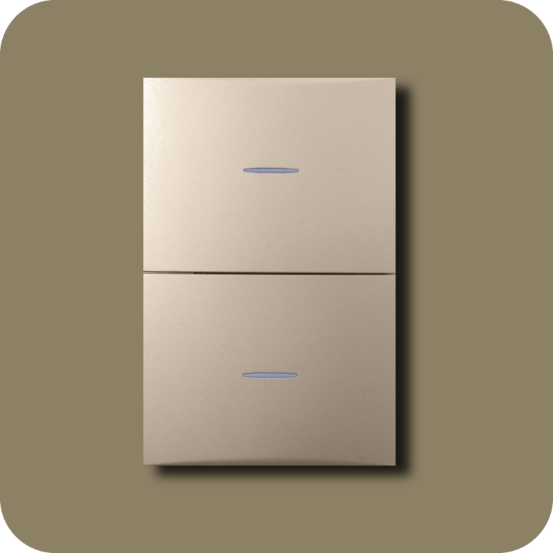 Interruptor doble flat champán